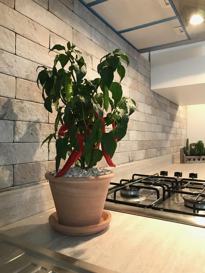 Chiave D'Arco Bed & Breakfast Selva Di Fasano Ngoại thất bức ảnh